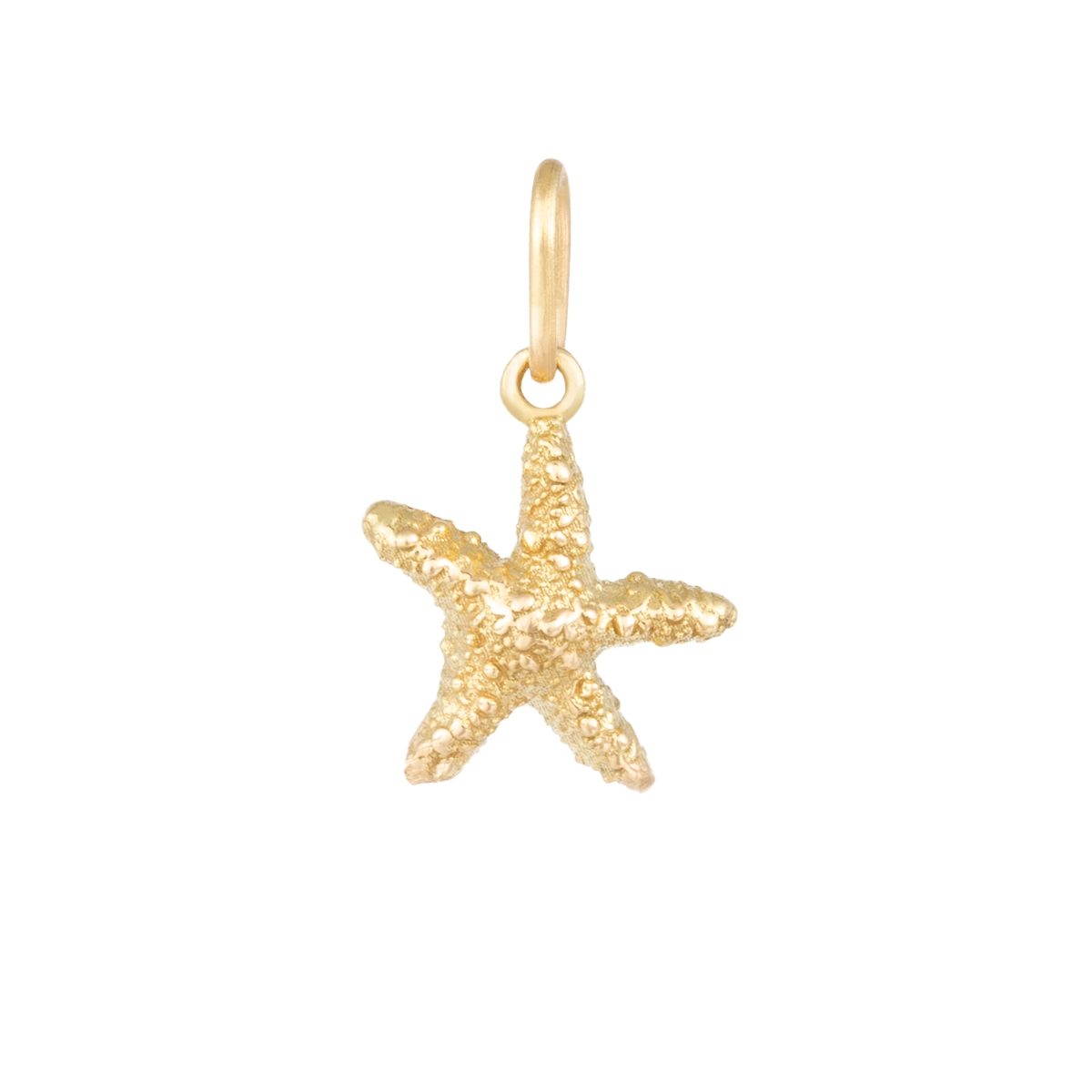 آویز ستاره دریایی مینی